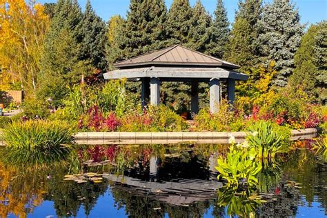 Denver Botanic Gardens: Trải nghiệm thiên nhiên phong phú giữa lòng thành phố!